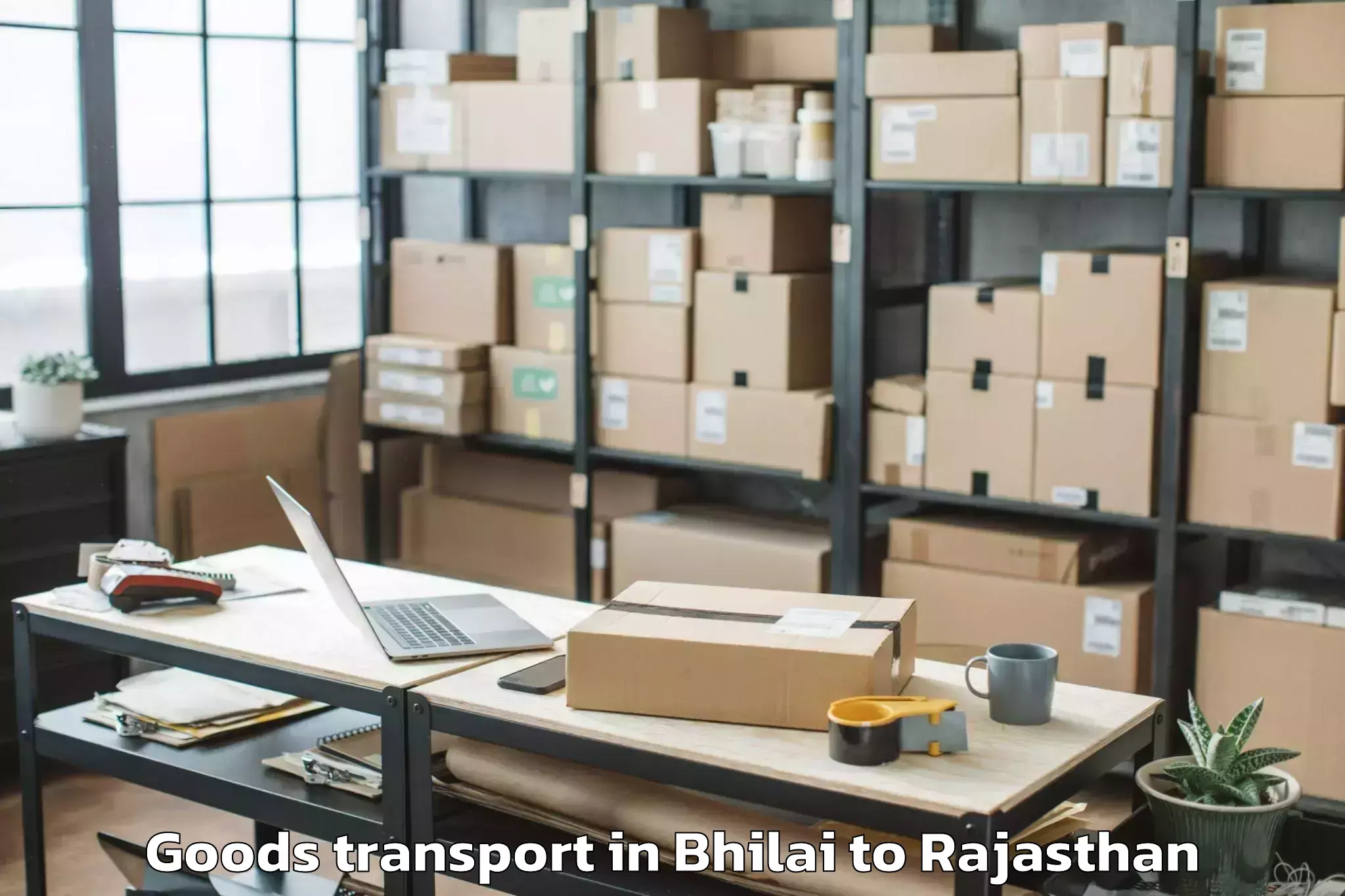 Bhilai to Kherwara Goods Transport